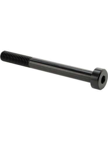 M4 x 40mm Low Profile Socket Cap Screw
