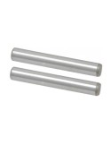 SBI 10/22 Stainless Receiver Pins