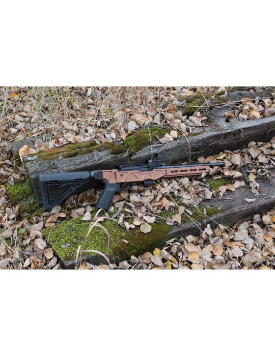 SBI Spectre G3 10/22 Chassis - Tanodize