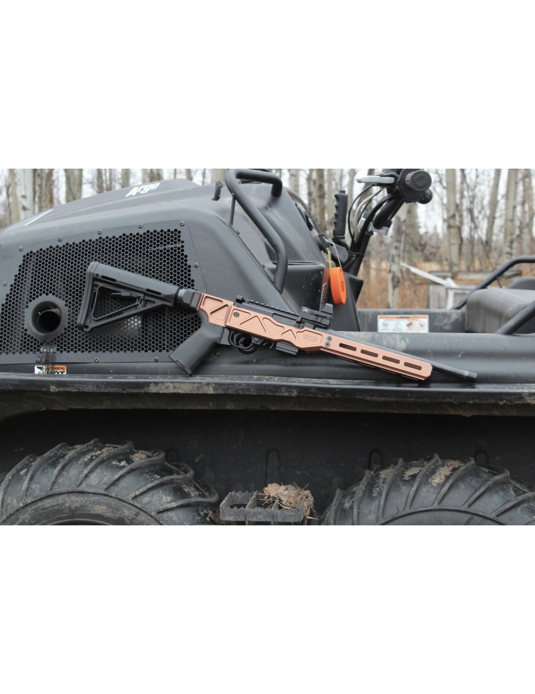 SBI Spectre G3 10/22 Chassis - Tanodize