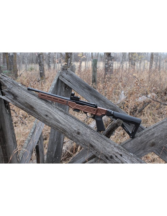 SBI Spectre G3 10/22 Chassis - Tanodize