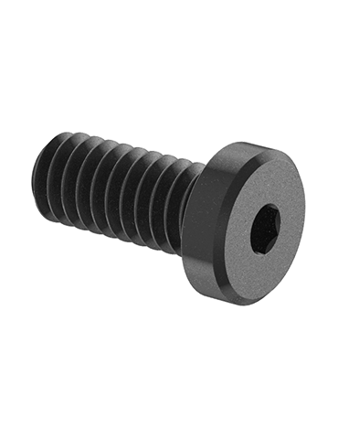C-71 Long Range Rail Screws (4)