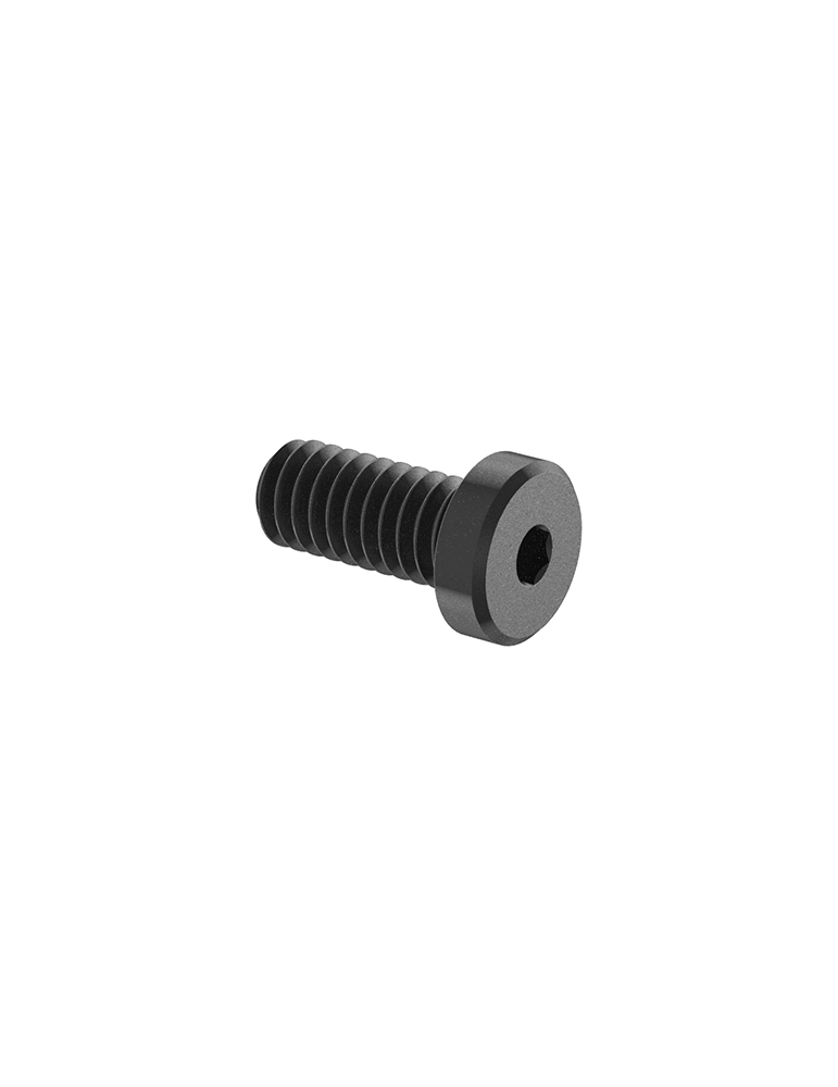 C-71 Long Range Rail Screws (4)