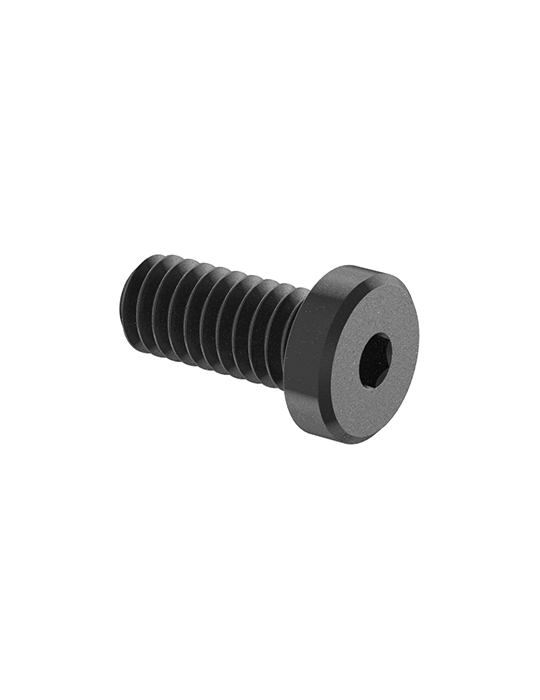 C-71 Long Range Rail Screws (4)