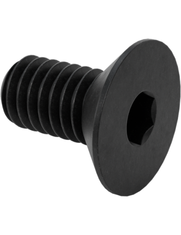 Chassis Threaded Pin Screws (2)