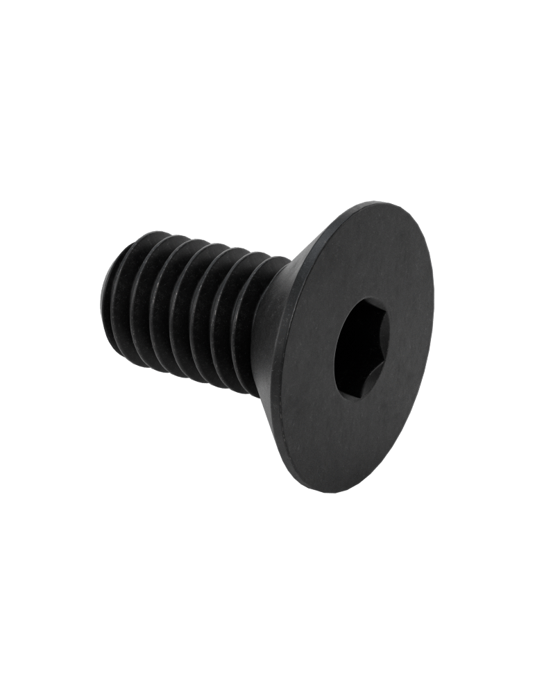 Chassis Threaded Pin Screws (2)